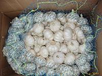 Pure White  Garlic   10kg /  carton 