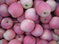 Gala apple