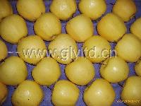  Golden  apple new crop