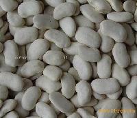  Flat   White   Kidney   Beans 