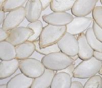 Snow white pumpkin seed