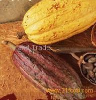 Deodorized cocoa butter