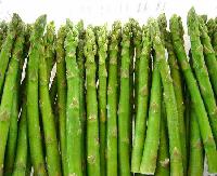 Frozen green asparagus spears