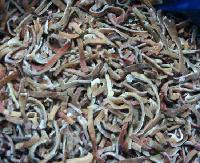 Frozen black fungus strips