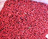 Frozen Lingonberry