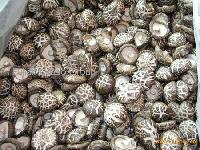 Dry Shiitake(Whole)