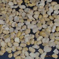 PEELED BROAD BEAN BY HAND