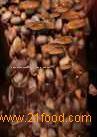  Cocoa   Mass 