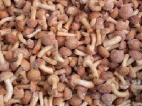 IQF Nameko mushroom