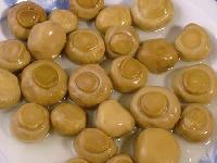Salted Champignon mushroom