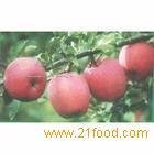  Fresh  apples