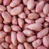 Peanut  Kernel s