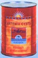  Artemia  Cyst