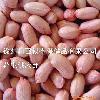 Shandong  large  peanut kernels