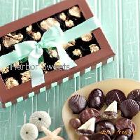 Chocolate & Aqua Striped Window Box
