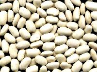 Medium white kidney beans