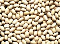 White kidney beans long shape