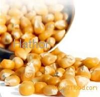 Bulk popcorn