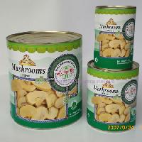 Canned mushrooms Slices