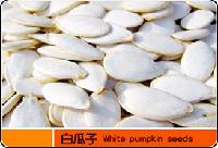 white pumpkin seeds