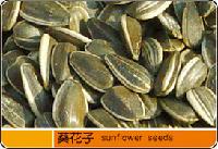sunflower seeds