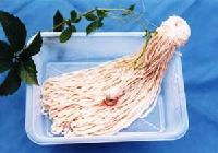salted hog casings, goat casings, sheep casings and all kinds of dry intestine membrane casings