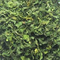 Dehydrated Celery leaves