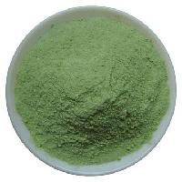 Dehydrated Spinach Powder/ Leaves