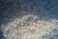 frozen  diced  onion
