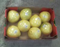 Honey Pomelo,China price supplier - 21food