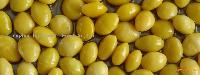 Canned gingko