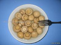 Canned Mushrooms(Champignon)