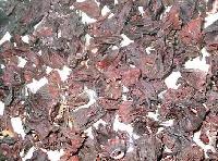 Hibiscus extract