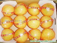 Fresh pomelo