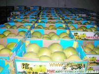 Pomelo fruit