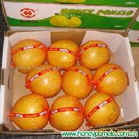  Fresh   citrus   fruit 