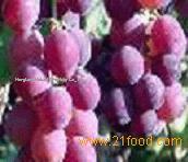 Red Wine Extract