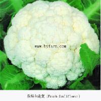 Fresh Cauliflower