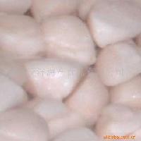 Scallops  Patinopecten  (Mizuhopecten)  yessoensis  Adductor