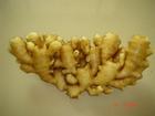 garlic,ginger, potato,onion, Carrot