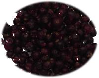 FD Blackcurrant
