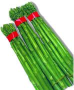 Fresh kept green asparagus