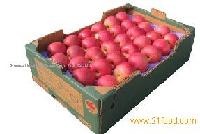 FUJI Apples 2