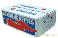 FUJI Apples 4