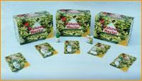 stevia