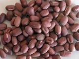 Red Soy