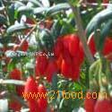 Goji berry Exytact/ Wolfberry extract