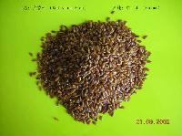 Red aroma rice