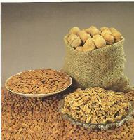 walnut kernels
