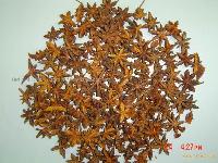 Star aniseeds